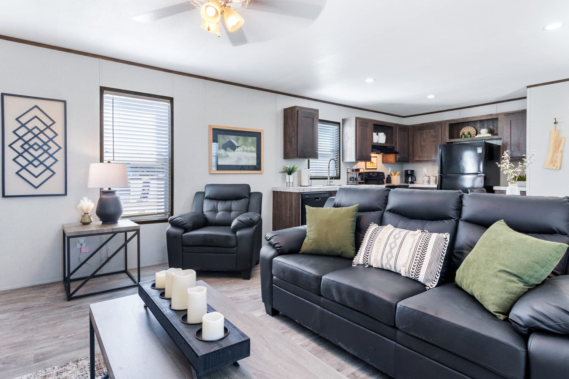 Tropic singlewide interior home features