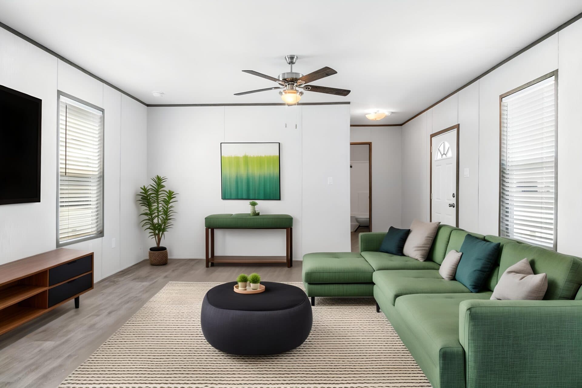 Molly 16x60 interior home features