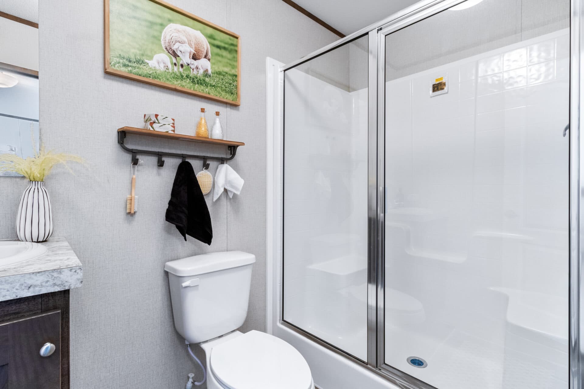 Tropic singlewide bathroom home features