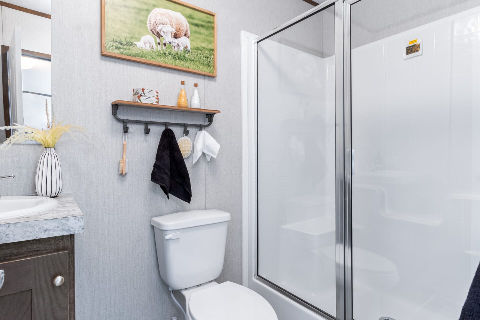 Tropic singlewide bathroom home features